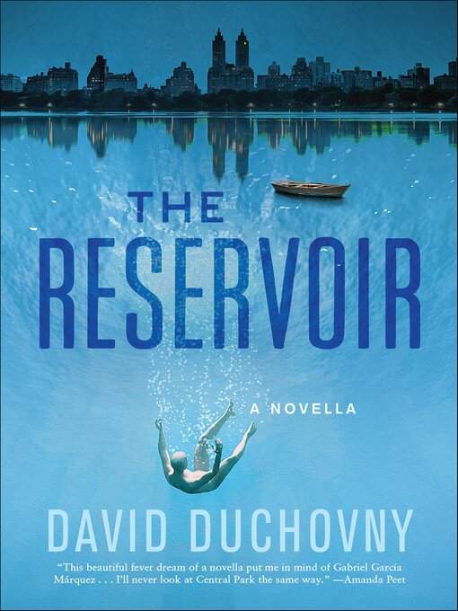 Cover image for The Reservoir